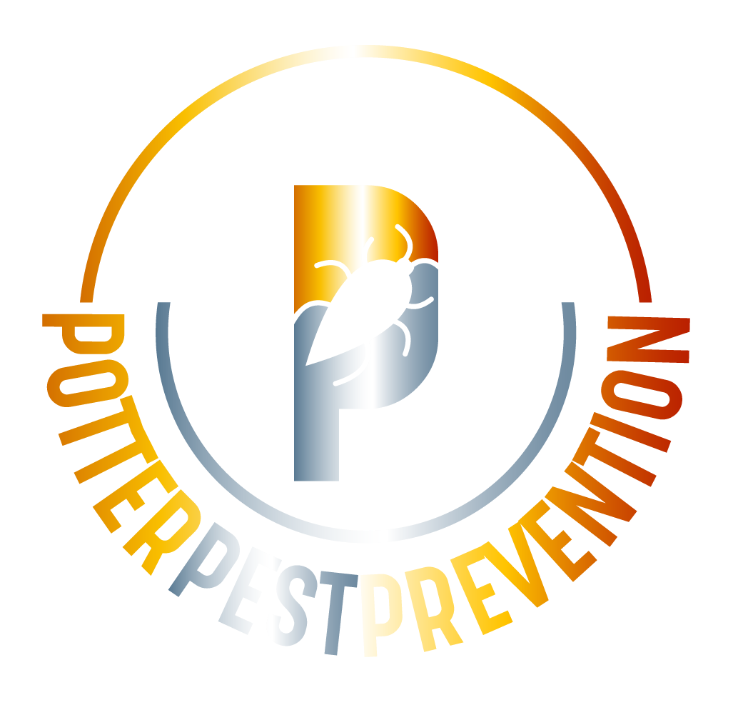 termites-potter-pest-prevention